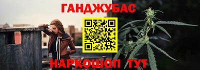 хмурый Новозыбков