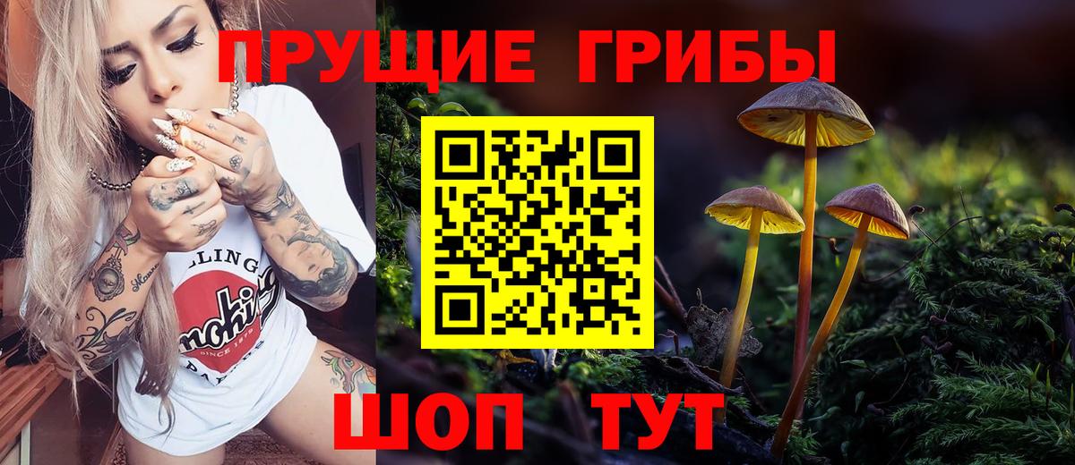 Заинск  Галлюциногенные грибы MAGIC MUSHROOMS  Галлюциногенные грибы мицелий  Вход с VPN 